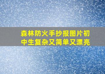 森林防火手抄报图片初中生复杂又简单又漂亮