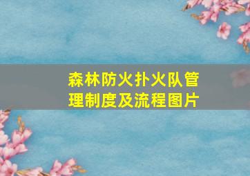 森林防火扑火队管理制度及流程图片