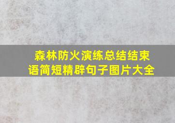 森林防火演练总结结束语简短精辟句子图片大全