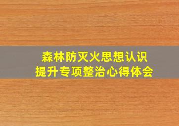 森林防灭火思想认识提升专项整治心得体会