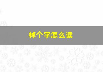 棹个字怎么读