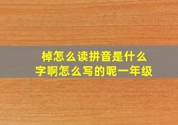 棹怎么读拼音是什么字啊怎么写的呢一年级