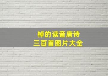 棹的读音唐诗三百首图片大全