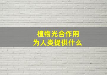 植物光合作用为人类提供什么