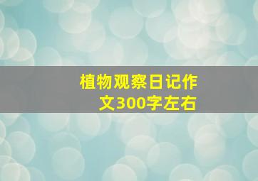 植物观察日记作文300字左右