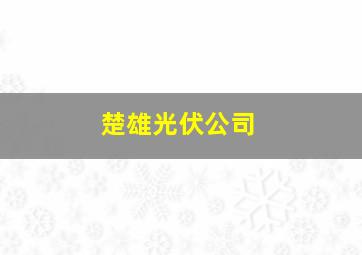 楚雄光伏公司