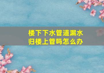 楼下下水管道漏水归楼上管吗怎么办