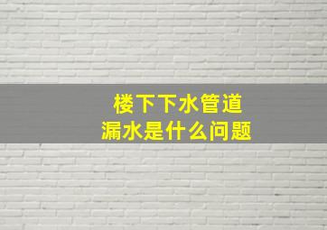 楼下下水管道漏水是什么问题