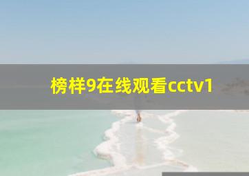 榜样9在线观看cctv1