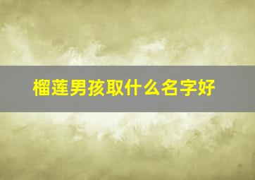 榴莲男孩取什么名字好