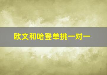 欧文和哈登单挑一对一