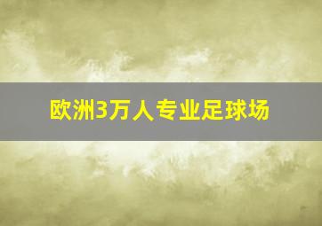 欧洲3万人专业足球场