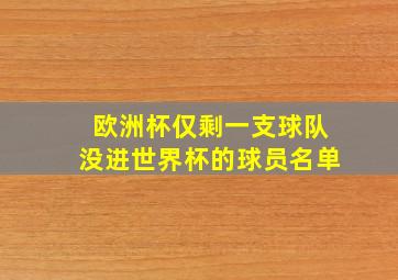 欧洲杯仅剩一支球队没进世界杯的球员名单