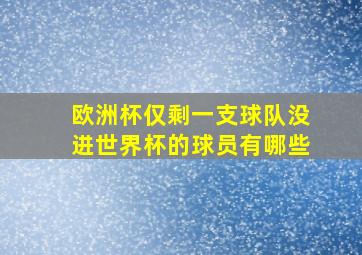 欧洲杯仅剩一支球队没进世界杯的球员有哪些