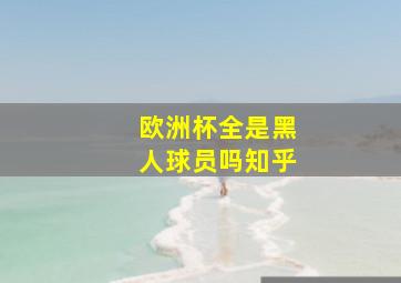 欧洲杯全是黑人球员吗知乎