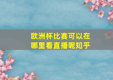 欧洲杯比赛可以在哪里看直播呢知乎