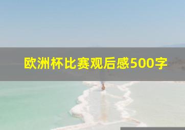 欧洲杯比赛观后感500字