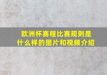 欧洲杯赛程比赛规则是什么样的图片和视频介绍