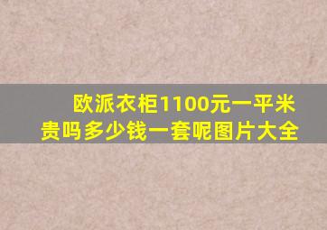 欧派衣柜1100元一平米贵吗多少钱一套呢图片大全