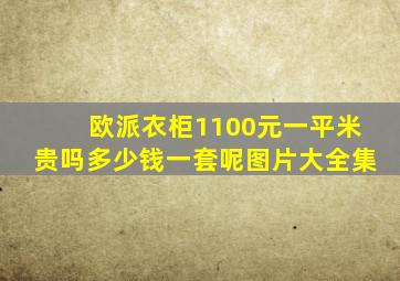 欧派衣柜1100元一平米贵吗多少钱一套呢图片大全集