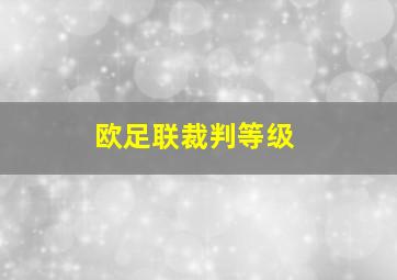 欧足联裁判等级