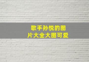 歌手孙悦的图片大全大图可爱