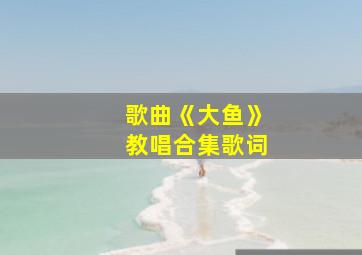 歌曲《大鱼》教唱合集歌词