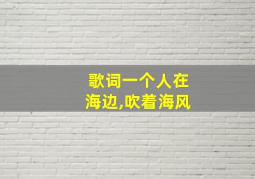 歌词一个人在海边,吹着海风