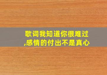 歌词我知道你很难过,感情的付出不是真心