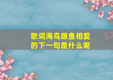 歌词海鸟跟鱼相爱的下一句是什么呢