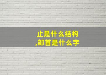 止是什么结构,部首是什么字