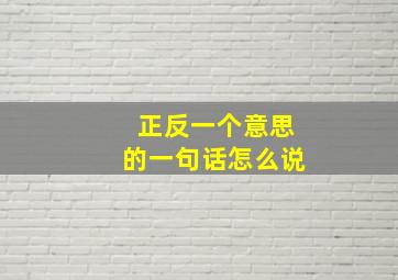 正反一个意思的一句话怎么说