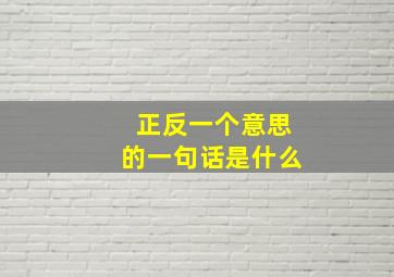 正反一个意思的一句话是什么