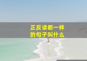 正反读都一样的句子叫什么