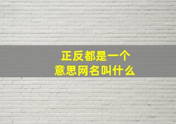 正反都是一个意思网名叫什么