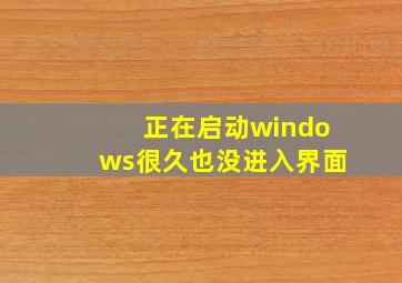 正在启动windows很久也没进入界面