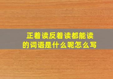 正着读反着读都能读的词语是什么呢怎么写