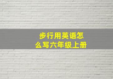 步行用英语怎么写六年级上册