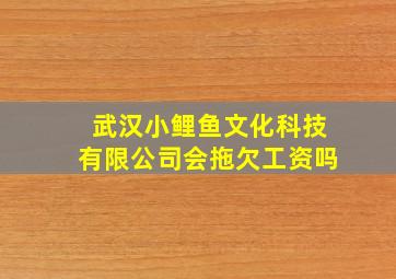 武汉小鲤鱼文化科技有限公司会拖欠工资吗