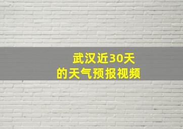 武汉近30天的天气预报视频