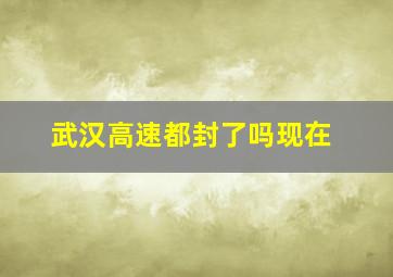 武汉高速都封了吗现在