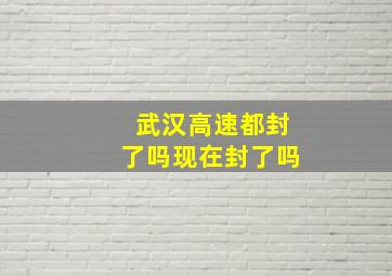 武汉高速都封了吗现在封了吗