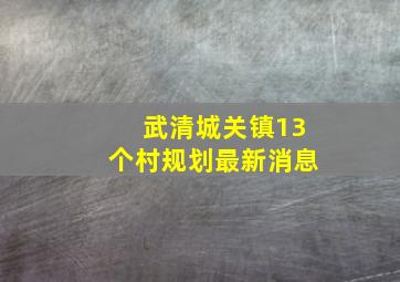 武清城关镇13个村规划最新消息