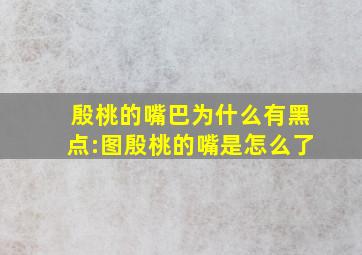 殷桃的嘴巴为什么有黑点:图殷桃的嘴是怎么了