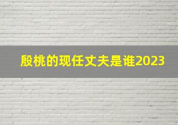 殷桃的现任丈夫是谁2023