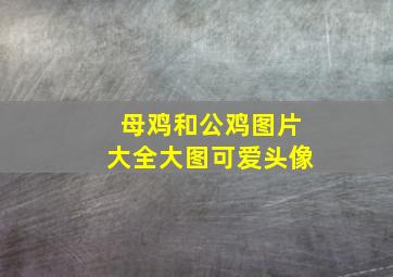 母鸡和公鸡图片大全大图可爱头像