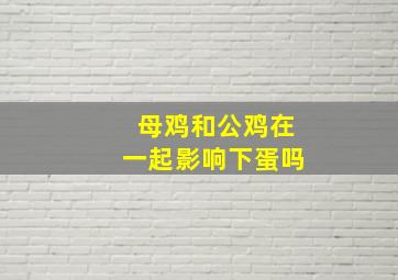 母鸡和公鸡在一起影响下蛋吗