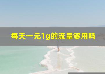 每天一元1g的流量够用吗