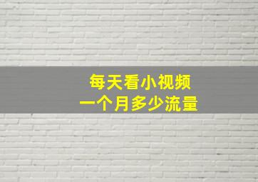 每天看小视频一个月多少流量