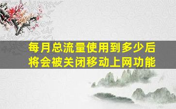 每月总流量使用到多少后将会被关闭移动上网功能